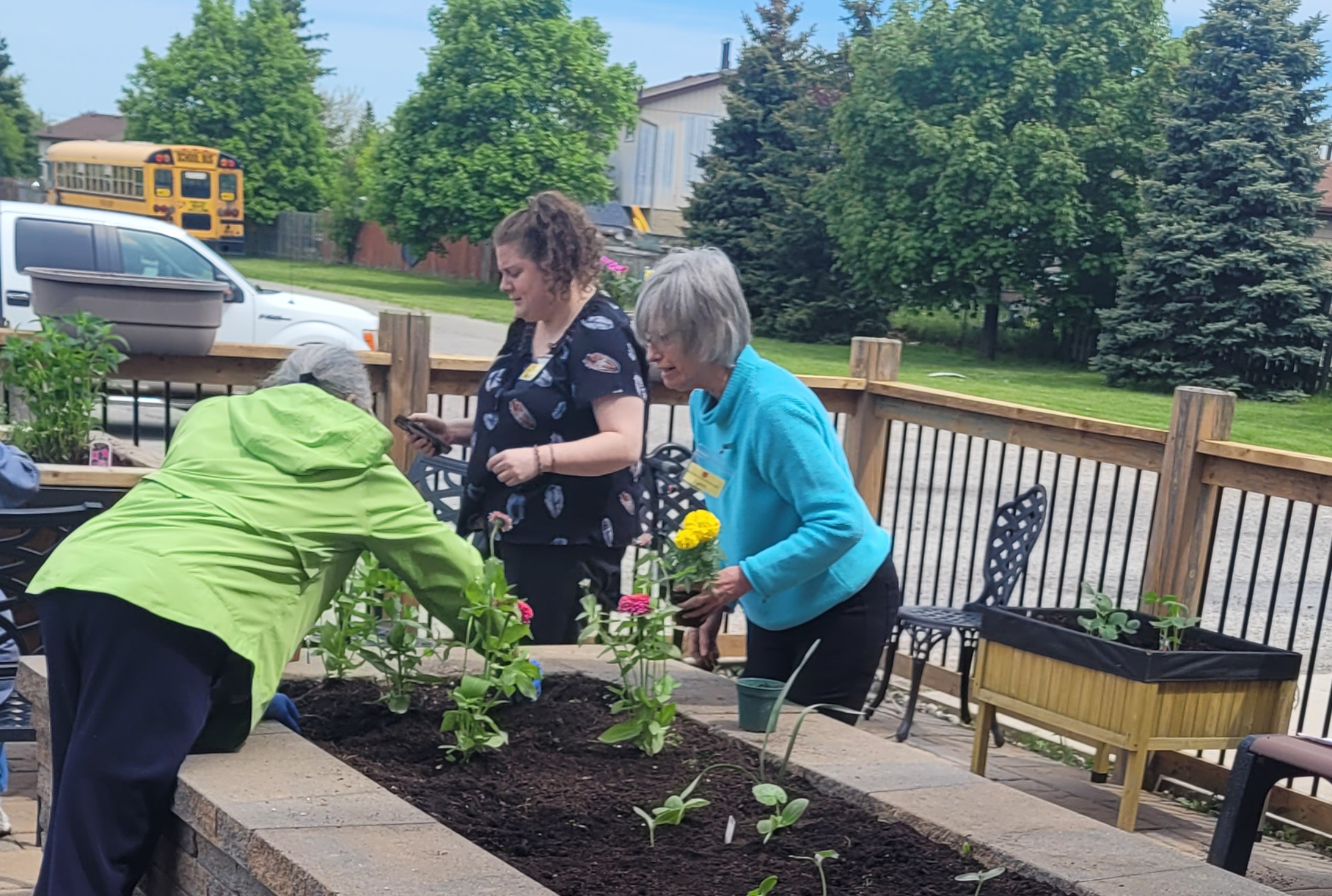 Program participants working together in an outdoor garden bed, planting flowers.